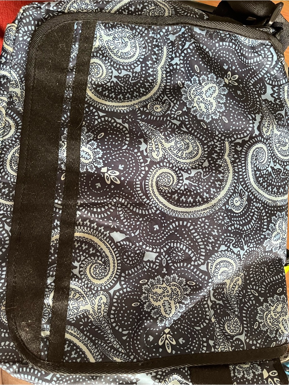 Blue Paisley Print Messenger/Computer bag